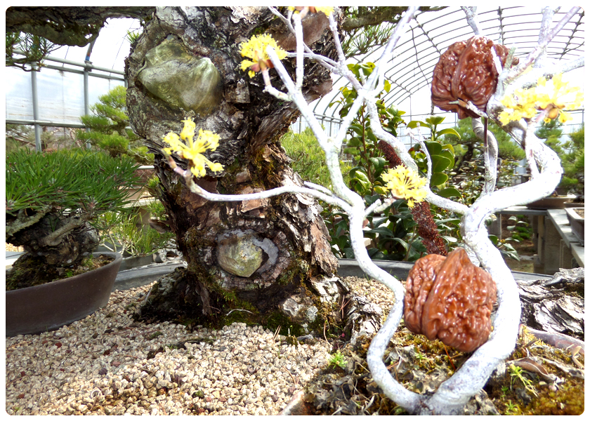 98e4ebd0fb47016244e3f7206cf1b8cf_1453254