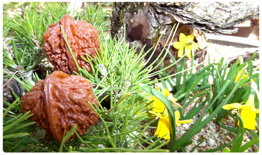 98e4ebd0fb47016244e3f7206cf1b8cf_1453255