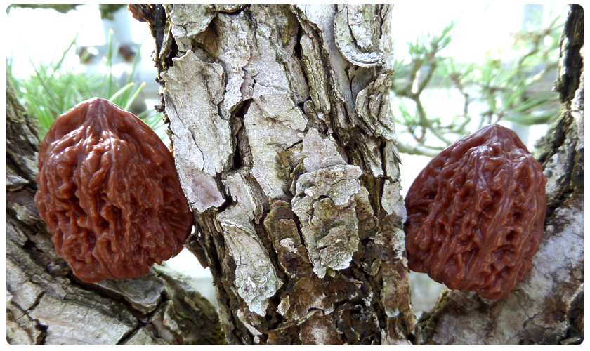 98e4ebd0fb47016244e3f7206cf1b8cf_1453255