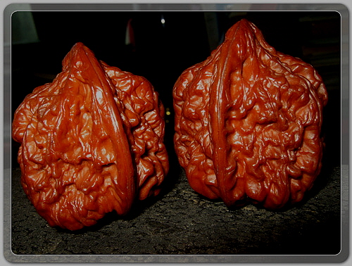 0a514f18a3020aafc4b7c4fea2e7cb86_1455882