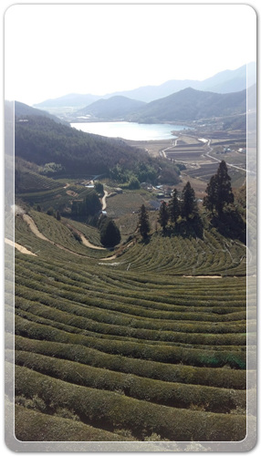 0b8d997aef8049e043eb5ae3bae15833_1456227