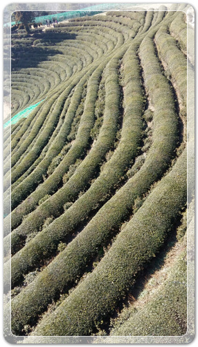 0b8d997aef8049e043eb5ae3bae15833_1456227