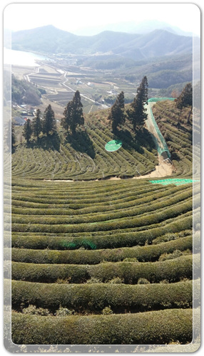 0b8d997aef8049e043eb5ae3bae15833_1456227