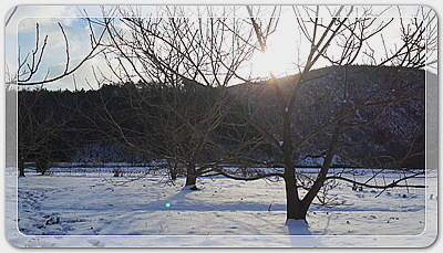 12016ef4f33560632b438dff7cbb6d43_1455532