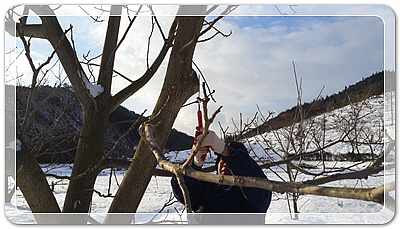 12016ef4f33560632b438dff7cbb6d43_1455532