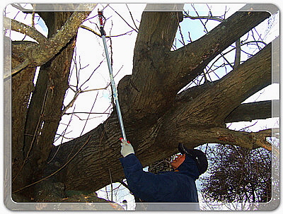 12016ef4f33560632b438dff7cbb6d43_1455532