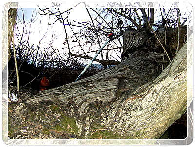 12016ef4f33560632b438dff7cbb6d43_1455532