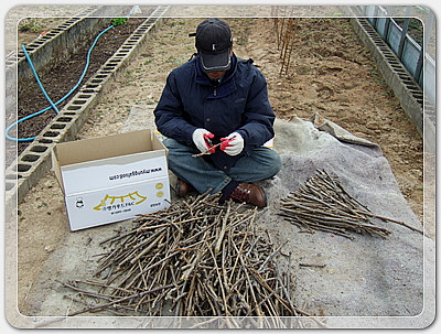 12016ef4f33560632b438dff7cbb6d43_1455532