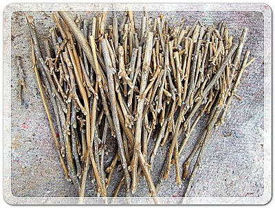 12016ef4f33560632b438dff7cbb6d43_1455532