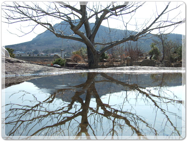 2619b2af8cf0b3e4fd2a2107e49df511_1455357