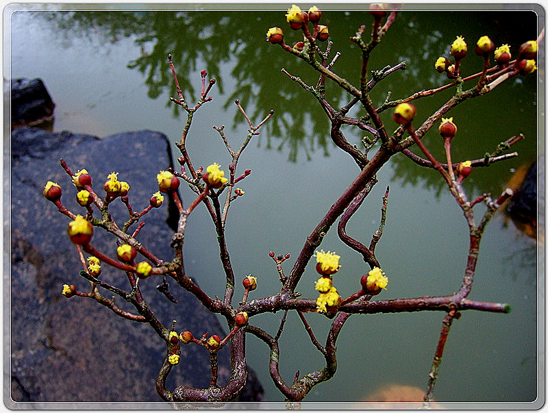 2619b2af8cf0b3e4fd2a2107e49df511_1455362