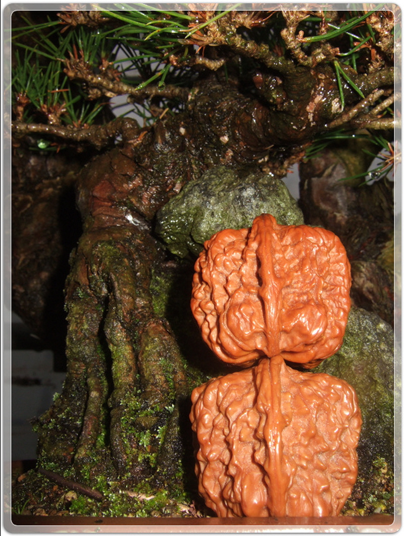 2619b2af8cf0b3e4fd2a2107e49df511_1455363