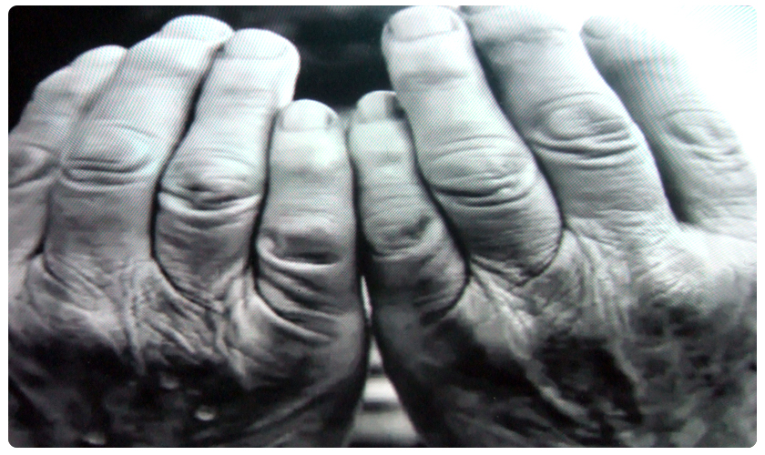 2ace884074c654cd190ee9058a075212_1455159