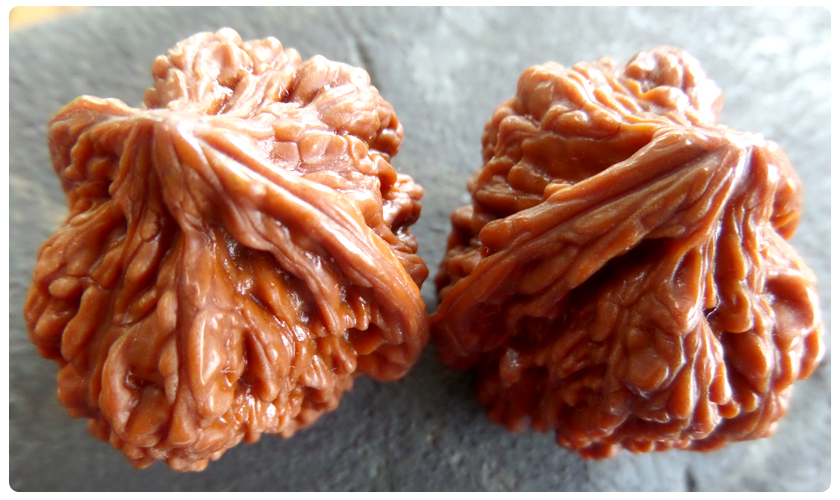 2ace884074c654cd190ee9058a075212_1455159