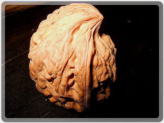 5628ceb1bc7355ef5df9aed3081cf05e_1456050