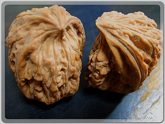 5628ceb1bc7355ef5df9aed3081cf05e_1456050