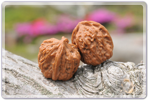 6fea4459f9cdd241238712dd2892ebd9_1456407