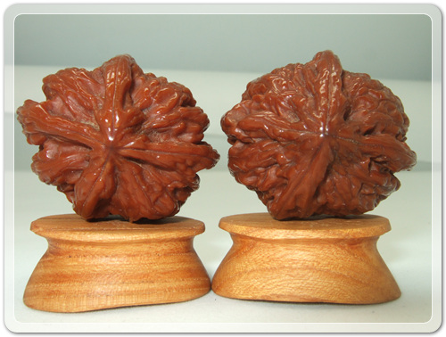 8aab5e5056927c337d7deb00e77440eb_1455959