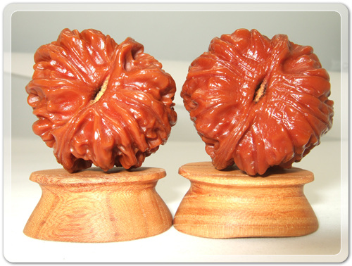 8aab5e5056927c337d7deb00e77440eb_1455959