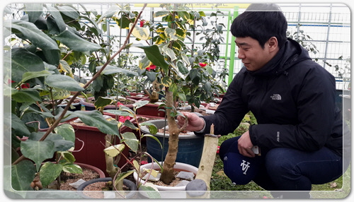 8aab5e5056927c337d7deb00e77440eb_1455961