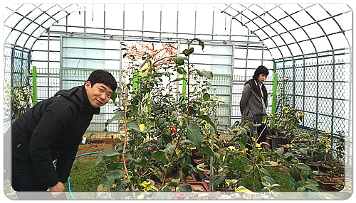 8aab5e5056927c337d7deb00e77440eb_1455962