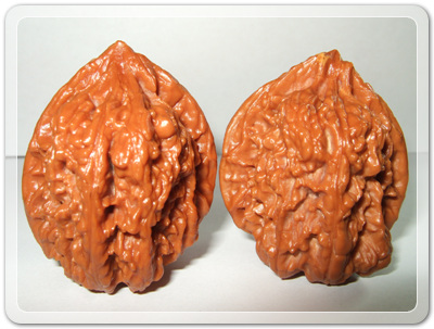 9a33db367d8bd06966876728ebecd610_1456492