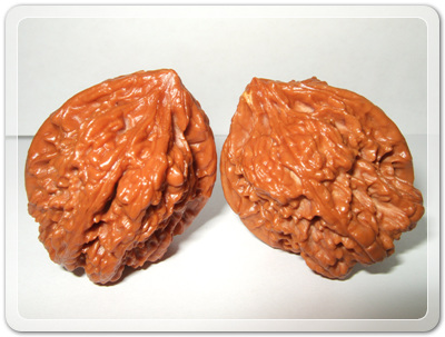 9a33db367d8bd06966876728ebecd610_1456492