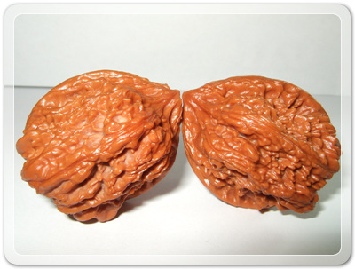 9a33db367d8bd06966876728ebecd610_1456492