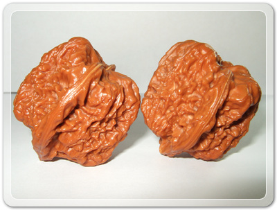 9a33db367d8bd06966876728ebecd610_1456492