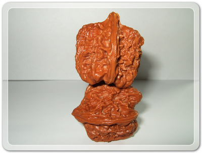 9a33db367d8bd06966876728ebecd610_1456492