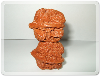 9a33db367d8bd06966876728ebecd610_1456492