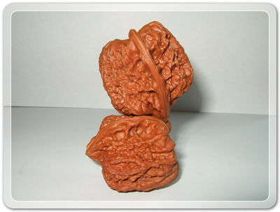 9a33db367d8bd06966876728ebecd610_1456492