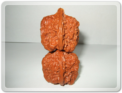 9a33db367d8bd06966876728ebecd610_1456492