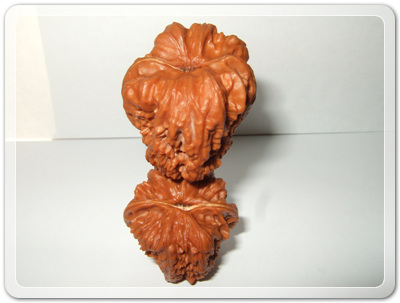 9a33db367d8bd06966876728ebecd610_1456492