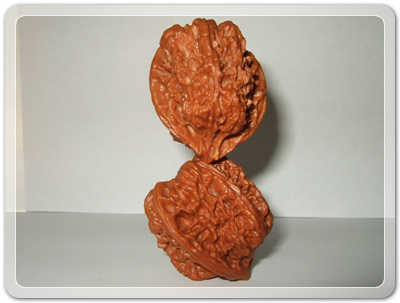 9a33db367d8bd06966876728ebecd610_1456492