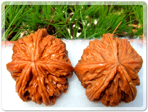 9bc3b00c1c413e166d13d21ba147ba63_1456314