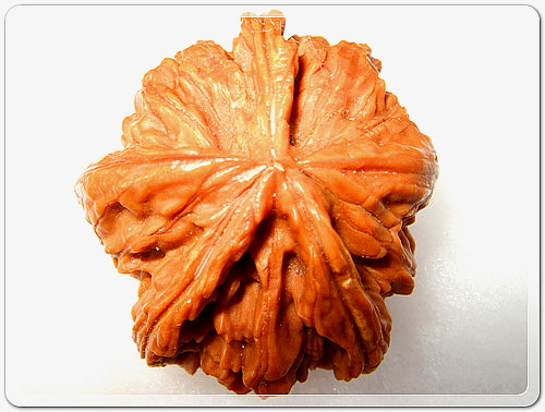 9bc3b00c1c413e166d13d21ba147ba63_1456315