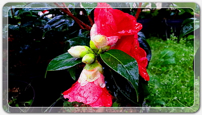 b1cbf5cd8ec190df77a0768b08a17bd7_1455447