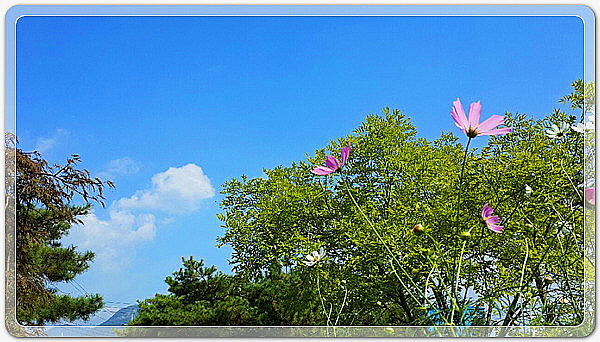 f61a36e3c9deb541dbf4e1af39e1bc32_1455724