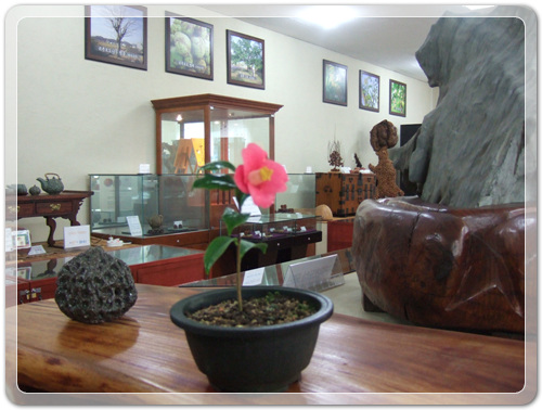 ff3db9ca7232403a366c17b514327d0a_1456627