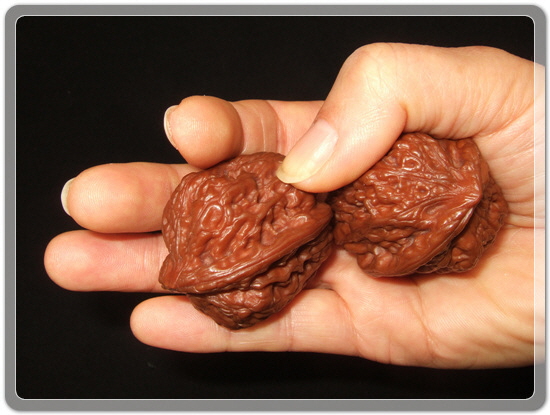 0e6d5463227fdf1e756e5f5036fed619_1459255