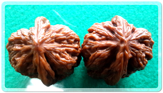 0e6d5463227fdf1e756e5f5036fed619_1459255