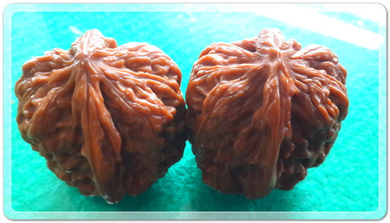 0e6d5463227fdf1e756e5f5036fed619_1459255