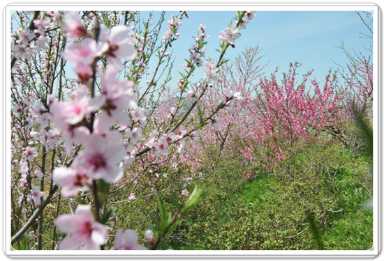 107f0183c7cabd2e8f05073cd4504125_1457348