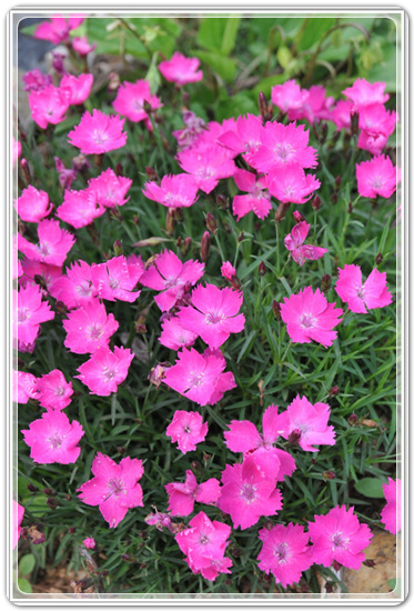 107f0183c7cabd2e8f05073cd4504125_1457348