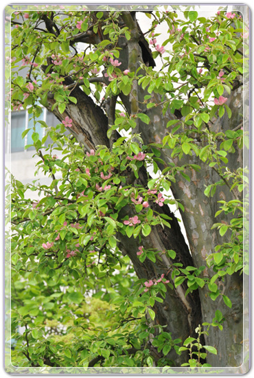 107f0183c7cabd2e8f05073cd4504125_1457348