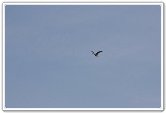 107f0183c7cabd2e8f05073cd4504125_1457348