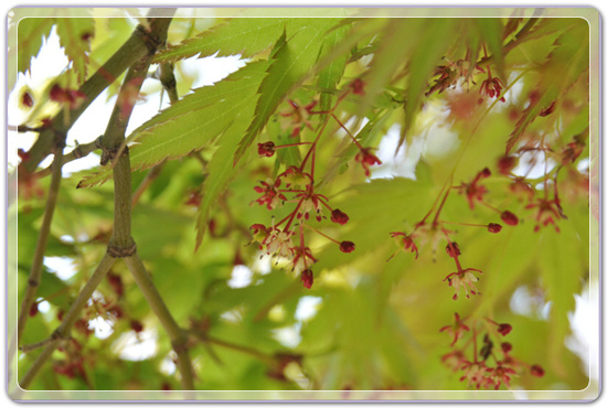 107f0183c7cabd2e8f05073cd4504125_1457348