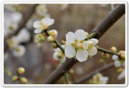 107f0183c7cabd2e8f05073cd4504125_1457348