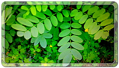 2de2d5d4a5cd51950d9e57b3ba0d077b_1457098